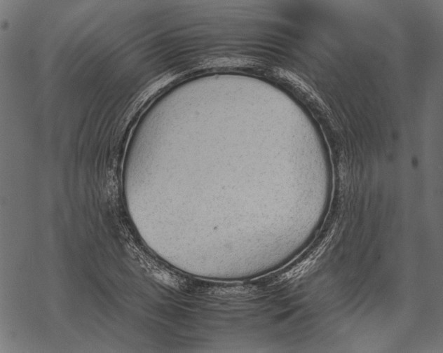 X0000067911025200605041638