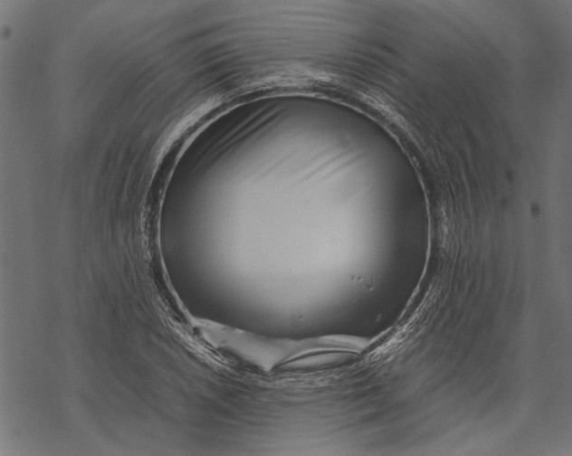 X0000067911026200605041638