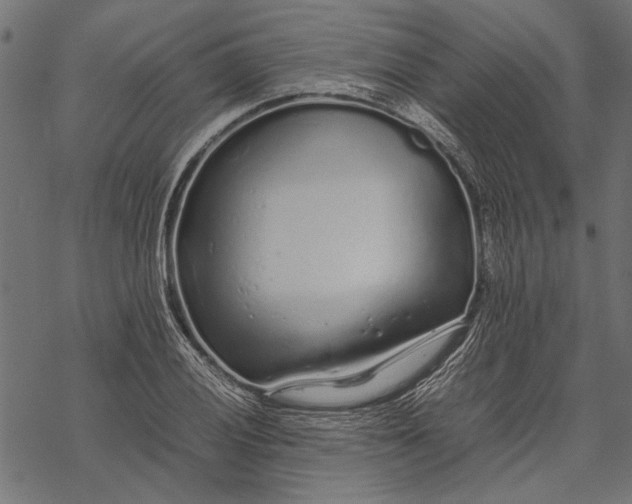 X0000067911028200605041638