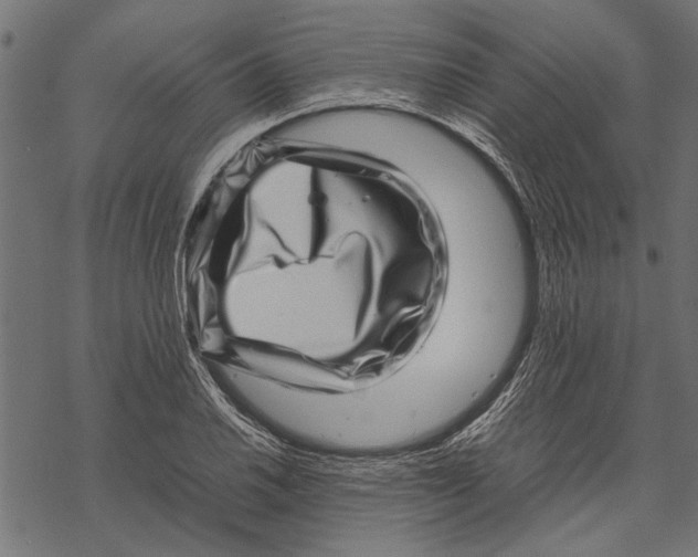 X0000067911030200605041638