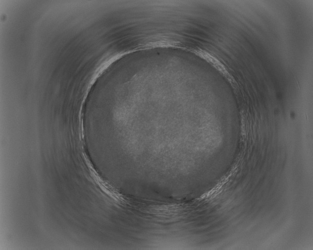 X0000067911031200605041638