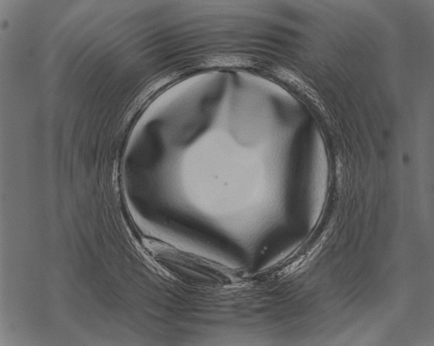 X0000067911033200605041638