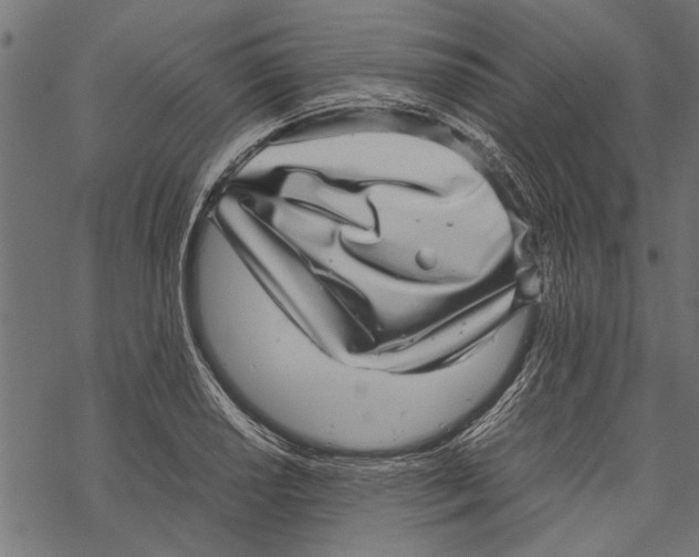 X0000067911034200605041638