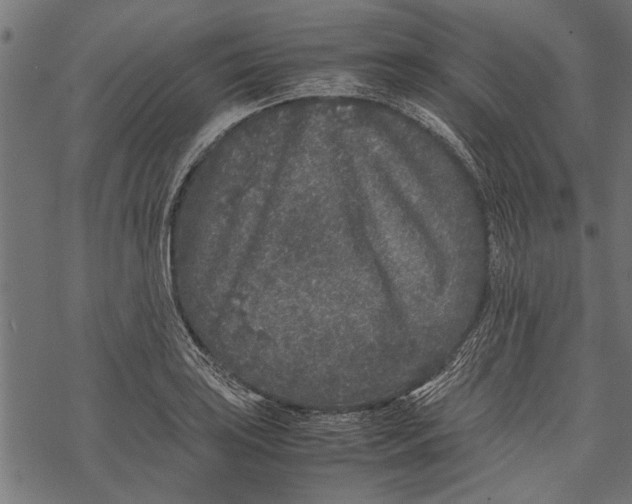 X0000067911035200605041638