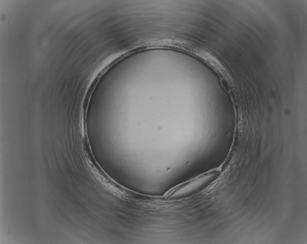 X0000067911036200605041638