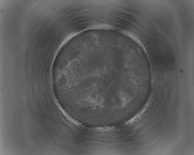 X0000067911037200605041638