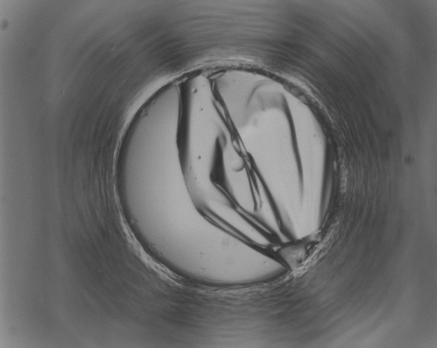 X0000067911038200605041638