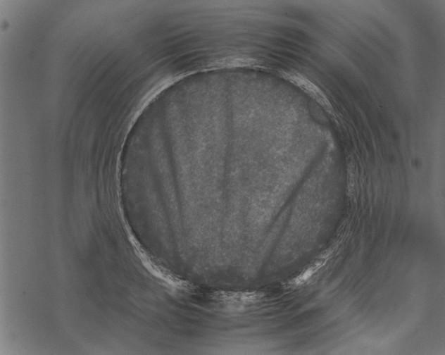 X0000067911039200605041638