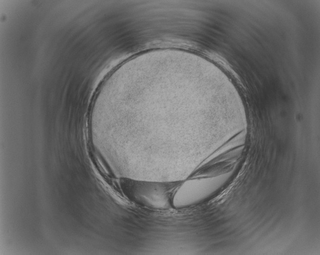 X0000067911040200605041638