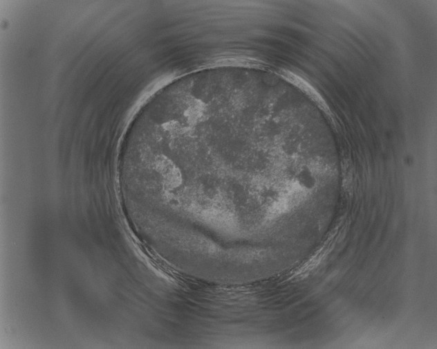 X0000067911043200605041638