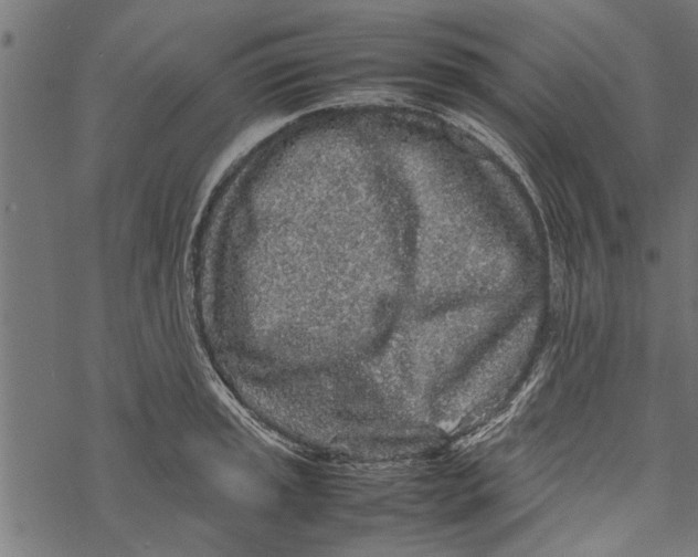 X0000067911045200605041638