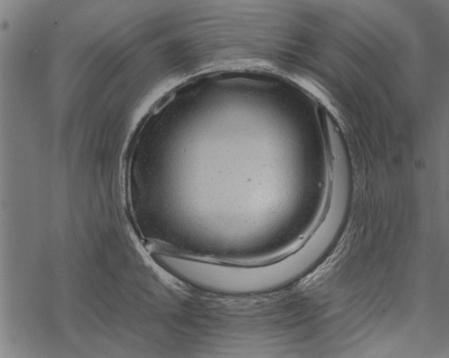 X0000067911046200605041638