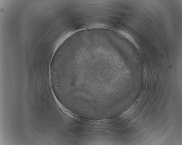 X0000067911047200605041638