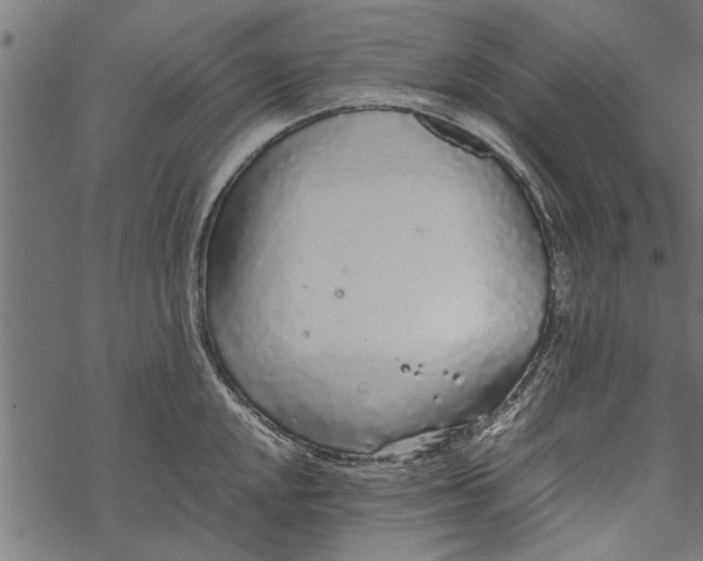 X0000067911048200605041638