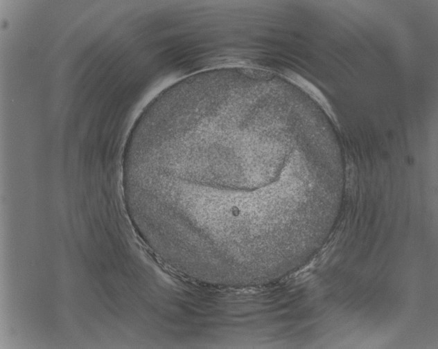 X0000067911051200605041638