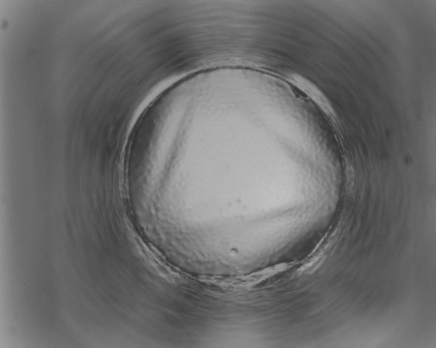 X0000067911052200605041638