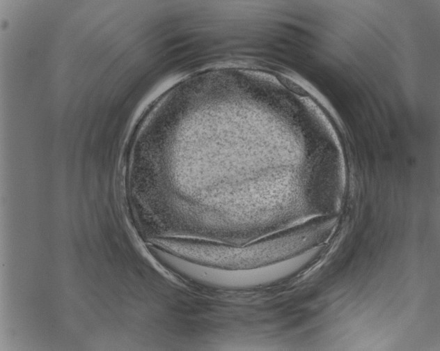 X0000067911053200605041638