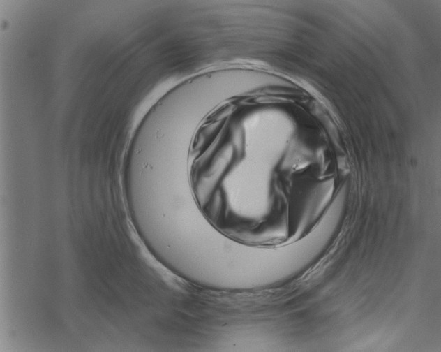 X0000067911054200605041638