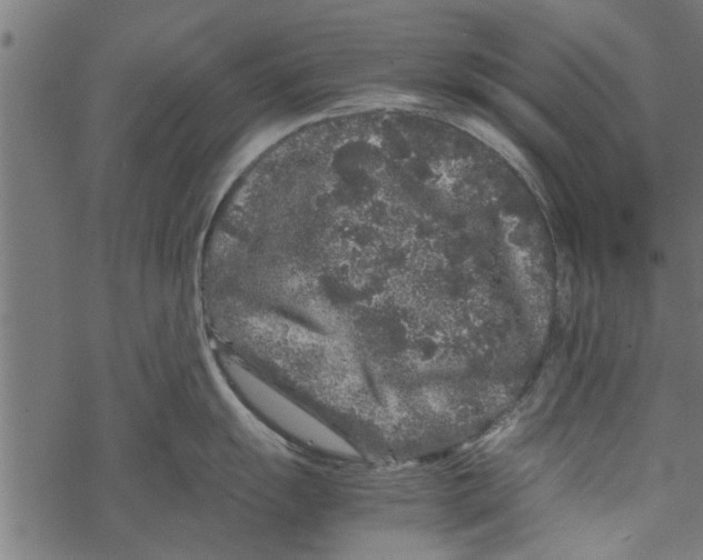 X0000067911055200605041638