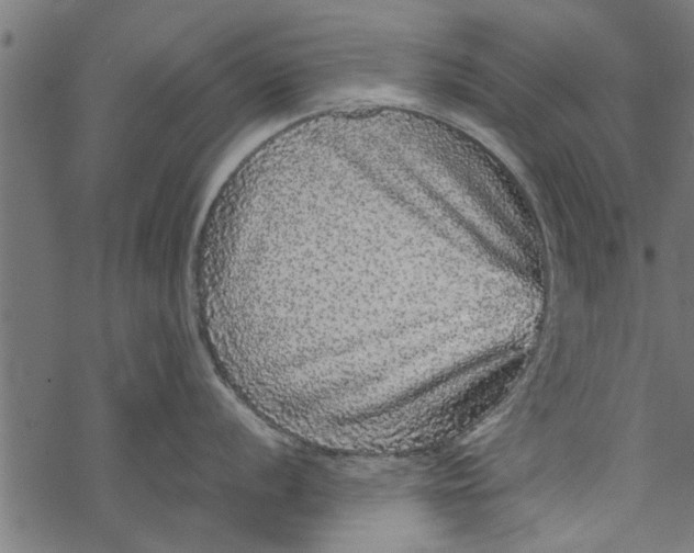 X0000067911056200605041638