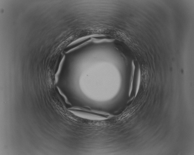 X0000067911058200605041638