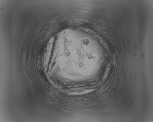 X0000067911059200605041638