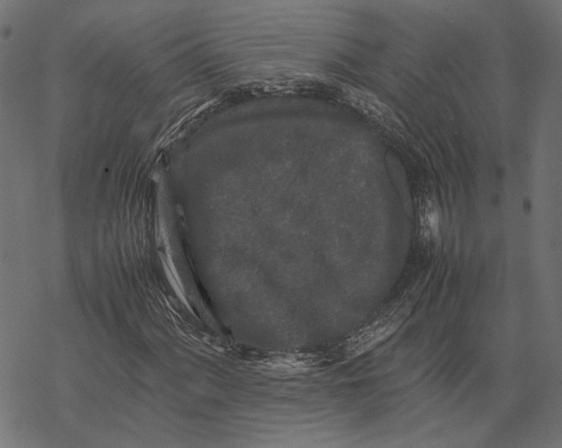 X0000067911060200605041638