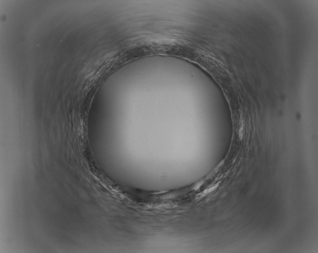 X0000067911061200605041638