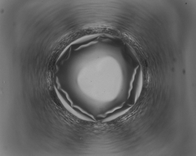 X0000067911062200605041638