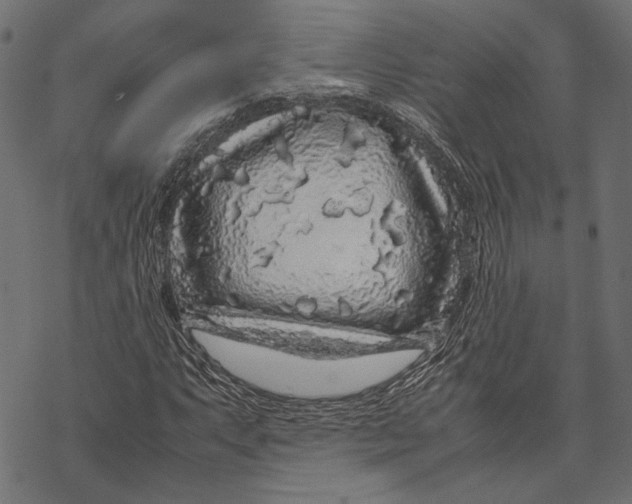 X0000067911063200605041638