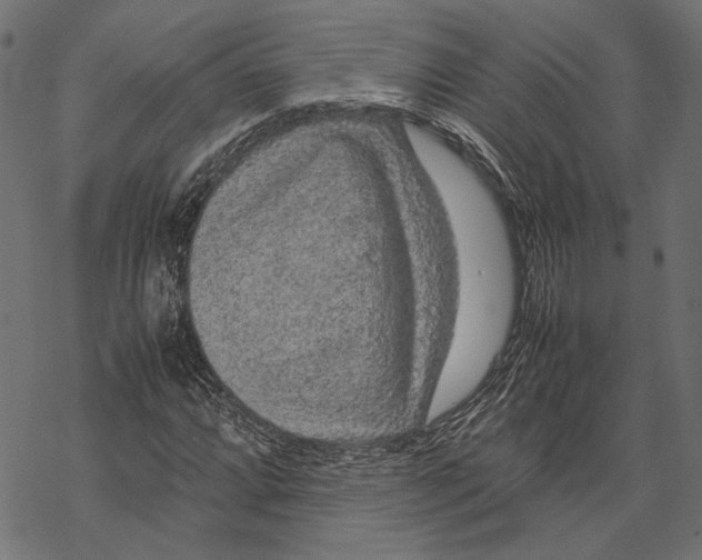 X0000067911064200605041638