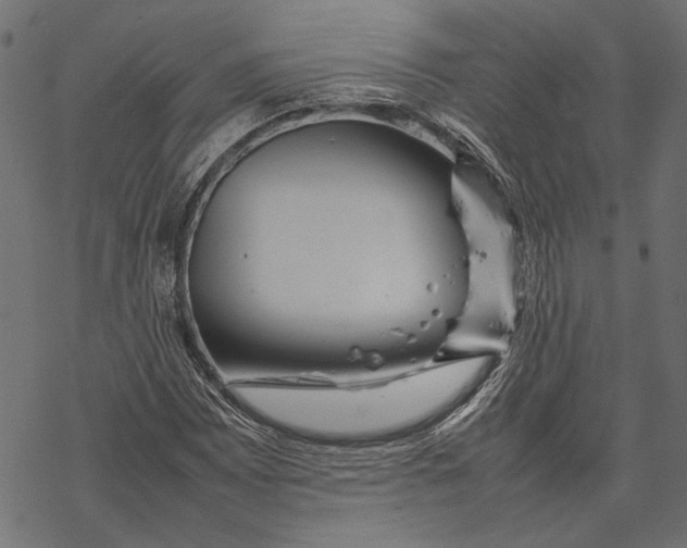 X0000067911065200605041637