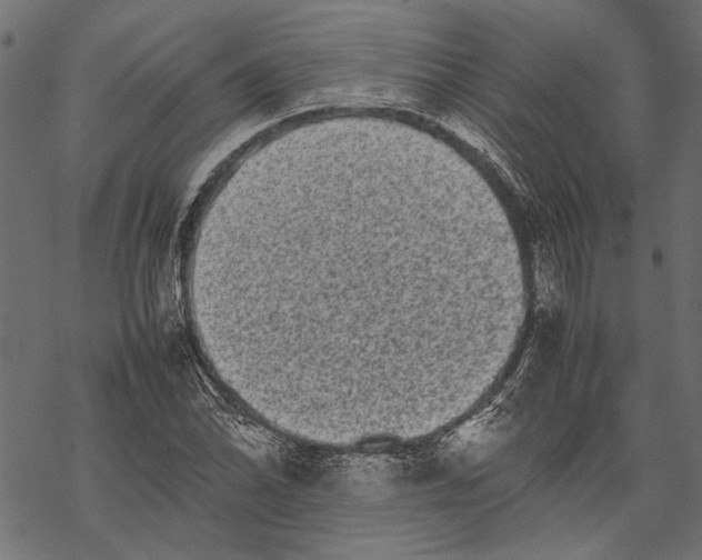 X0000067911070200605041637