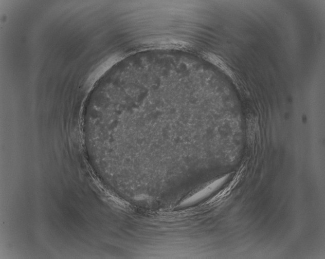 X0000067911071200605041637