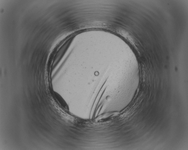 X0000067911072200605041637