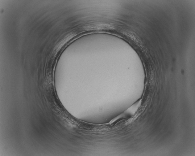 X0000067911073200605041637