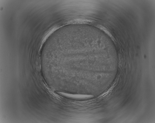 X0000067911075200605041637