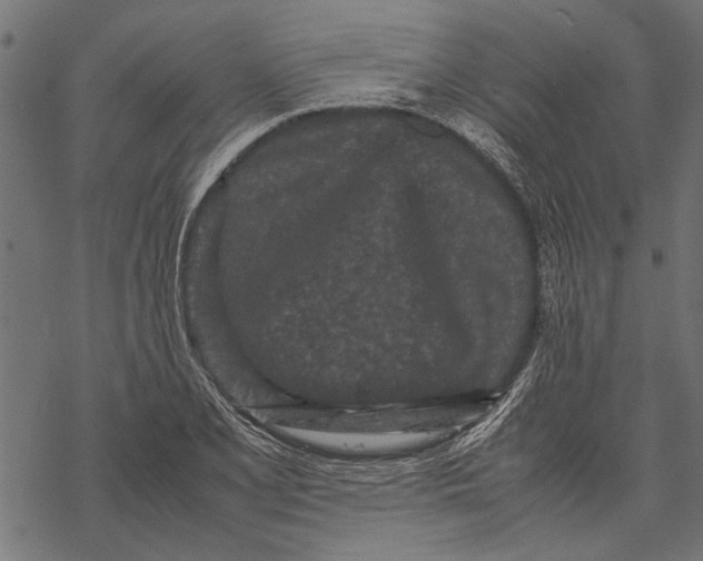 X0000067911077200605041637