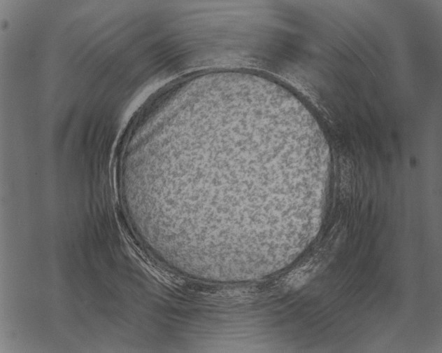 X0000067911078200605041637