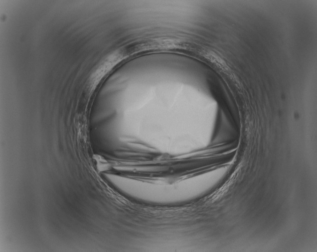 X0000067911081200605041637