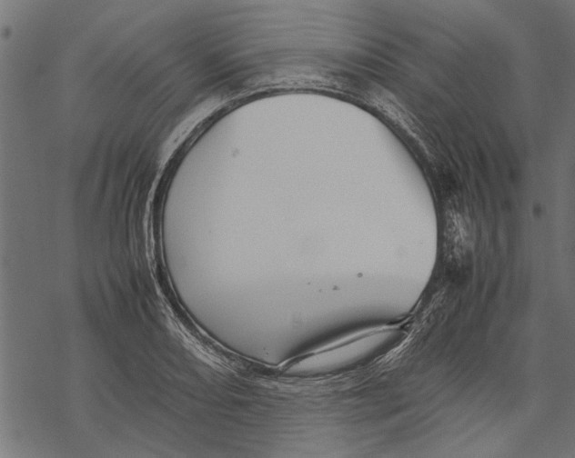 X0000067911082200605041637