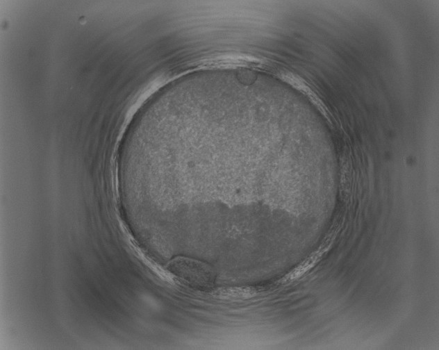 X0000067911083200605041637