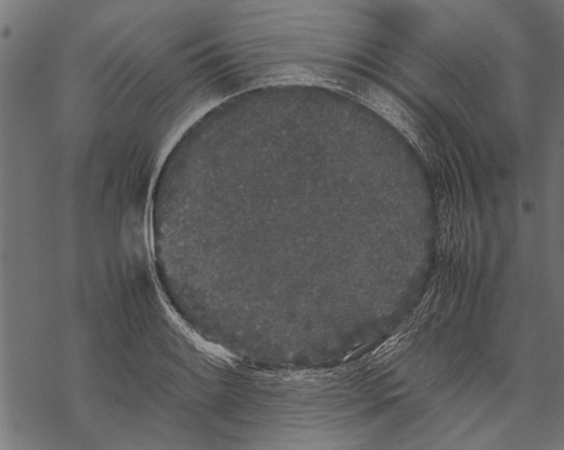 X0000067911084200605041637