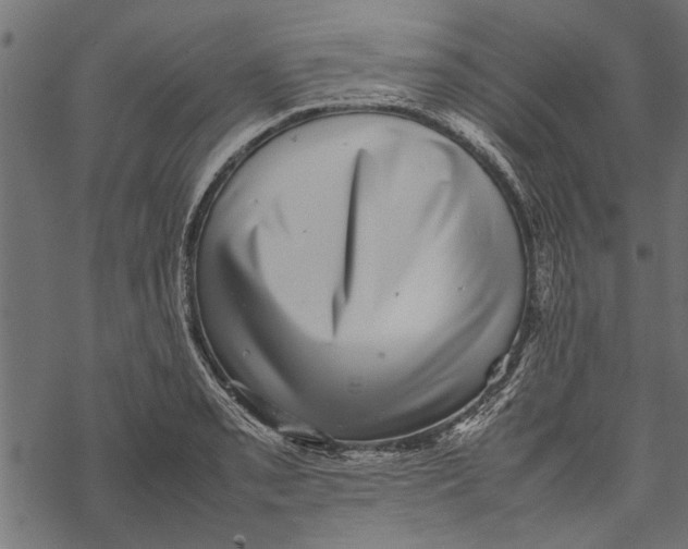 X0000067911085200605041637