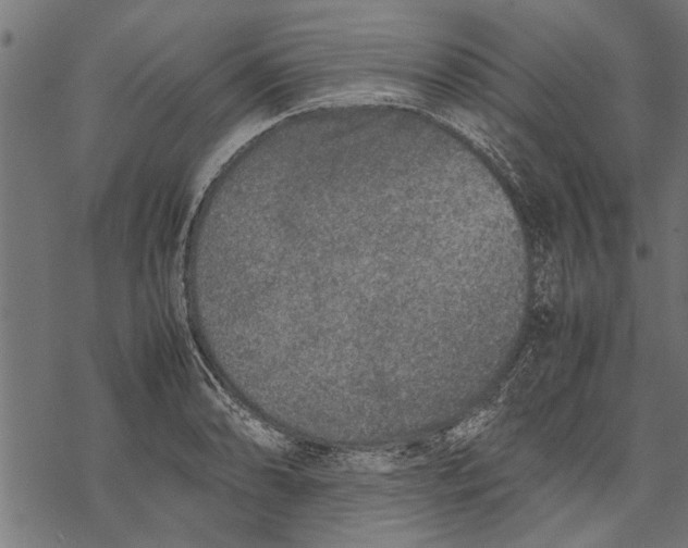 X0000067911086200605041637