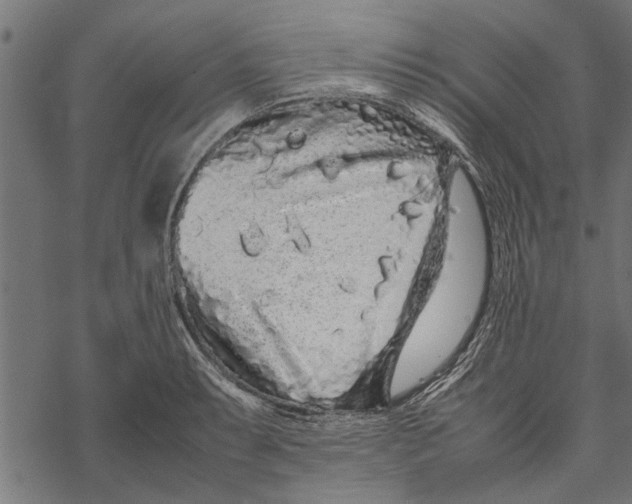 X0000067911087200605041637