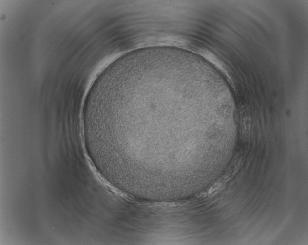 X0000067911088200605041637