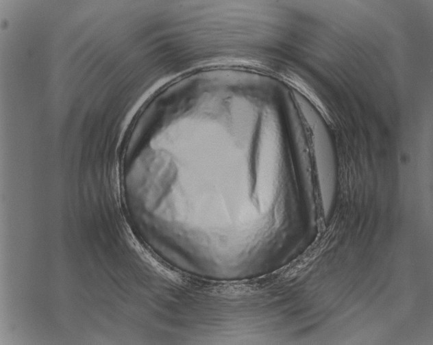 X0000067911092200605041637