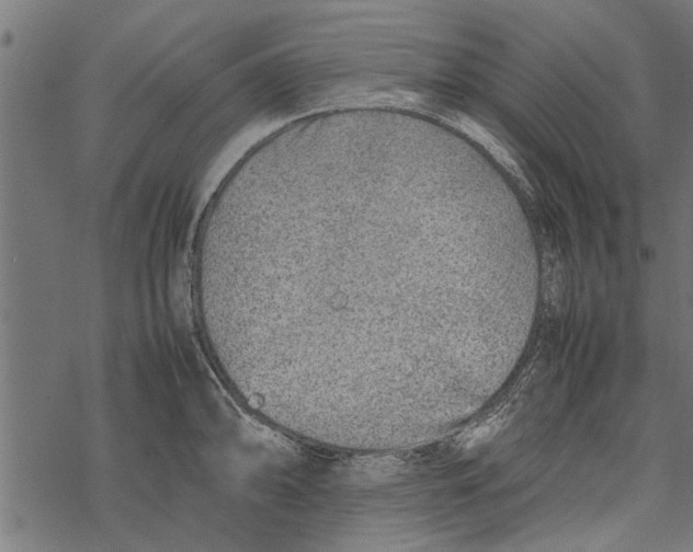 X0000067911094200605041637