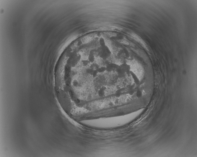 X0000067911095200605041637